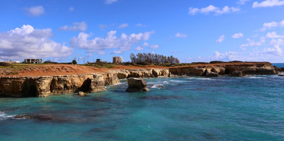Vestul Ciprului într-o zi: Petra tou Romiou, Paphos și Akamas cu plecare din Larnaca - 12 1